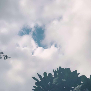 清纯可爱乌克兰女生m8u3视频
